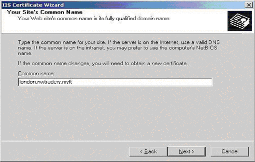 IIS Certificate Wizard - Common Name